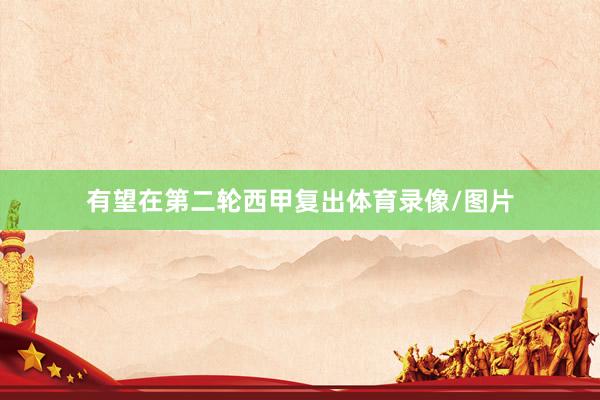 有望在第二轮西甲复出体育录像/图片