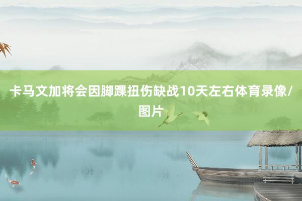 卡马文加将会因脚踝扭伤缺战10天左右体育录像/图片