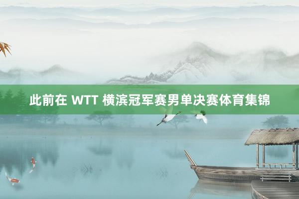 此前在 WTT 横滨冠军赛男单决赛体育集锦