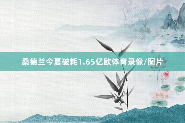 桑德兰今夏破耗1.65亿欧体育录像/图片