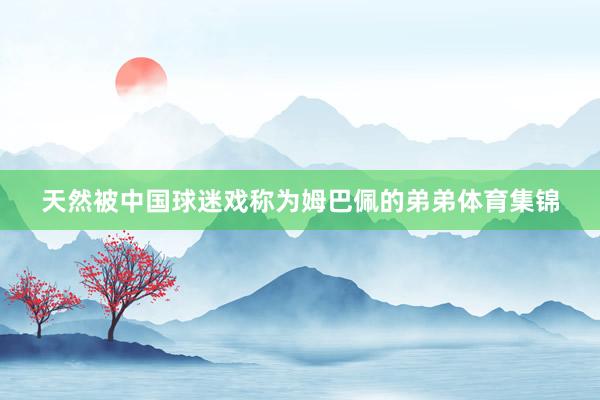 天然被中国球迷戏称为姆巴佩的弟弟体育集锦