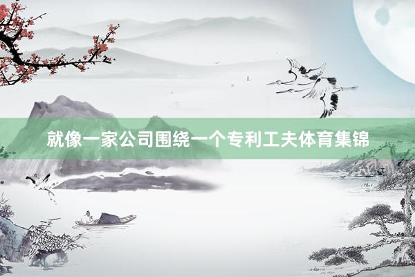 就像一家公司围绕一个专利工夫体育集锦