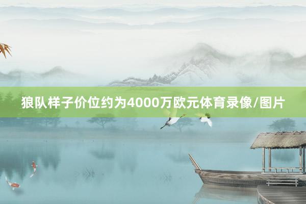狼队样子价位约为4000万欧元体育录像/图片