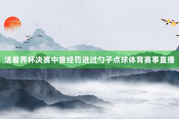 活着界杯决赛中曾经罚进过勺子点球体育赛事直播