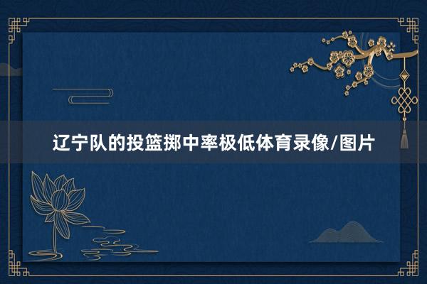 辽宁队的投篮掷中率极低体育录像/图片