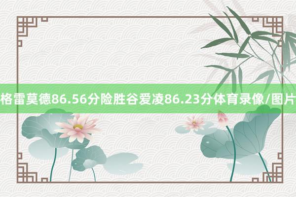 格雷莫德86.56分险胜谷爱凌86.23分体育录像/图片