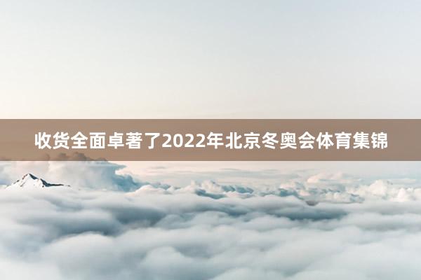 收货全面卓著了2022年北京冬奥会体育集锦