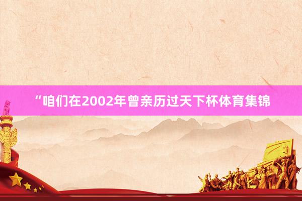 “咱们在2002年曾亲历过天下杯体育集锦