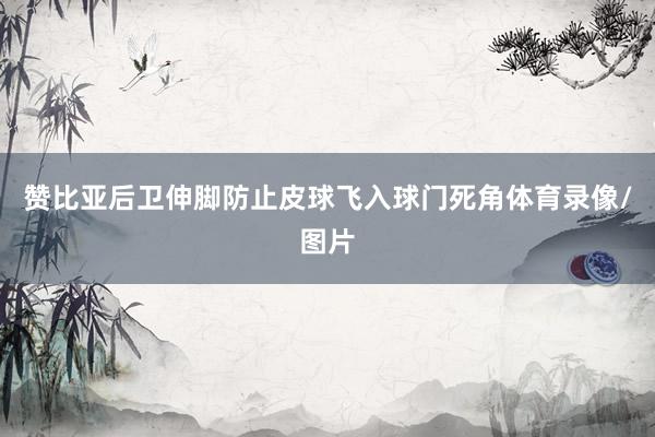 赞比亚后卫伸脚防止皮球飞入球门死角体育录像/图片