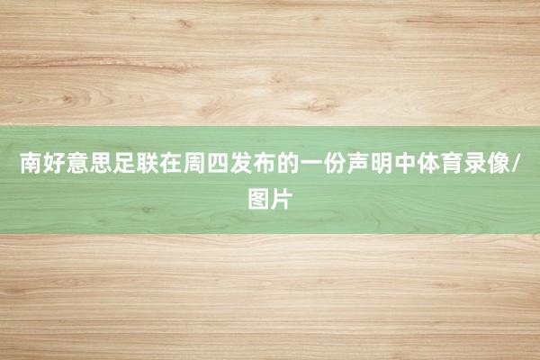 南好意思足联在周四发布的一份声明中体育录像/图片