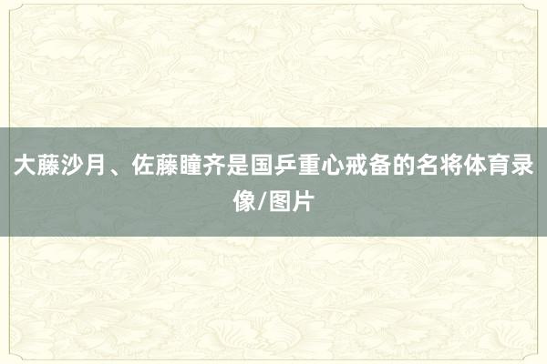大藤沙月、佐藤瞳齐是国乒重心戒备的名将体育录像/图片