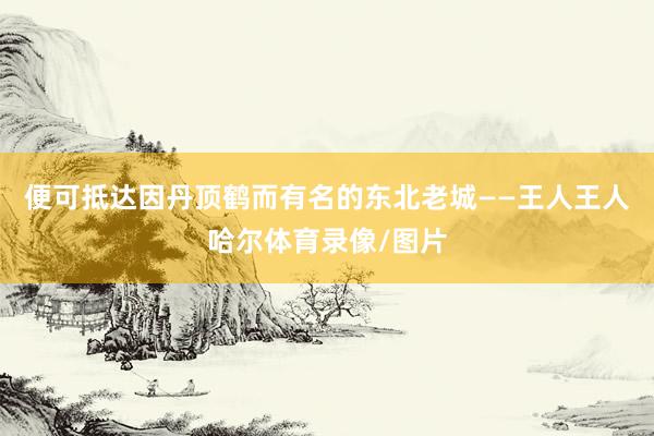 便可抵达因丹顶鹤而有名的东北老城——王人王人哈尔体育录像/图片