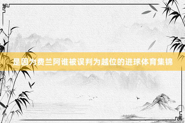 是因为费兰阿谁被误判为越位的进球体育集锦