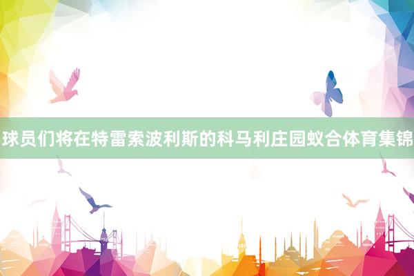 球员们将在特雷索波利斯的科马利庄园蚁合体育集锦
