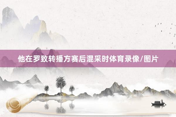 他在罗致转播方赛后混采时体育录像/图片