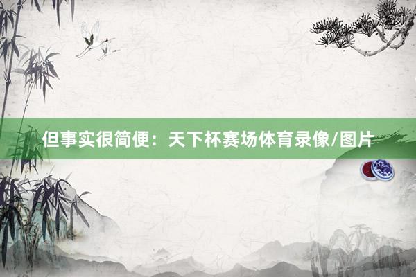 但事实很简便：天下杯赛场体育录像/图片