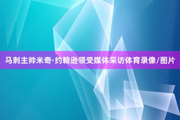 马刺主帅米奇·约翰逊领受媒体采访体育录像/图片