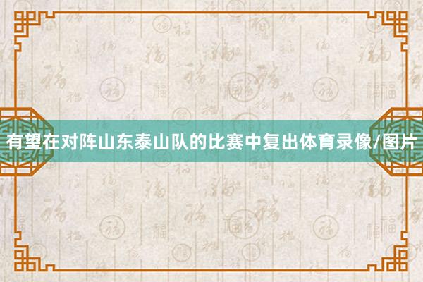 有望在对阵山东泰山队的比赛中复出体育录像/图片