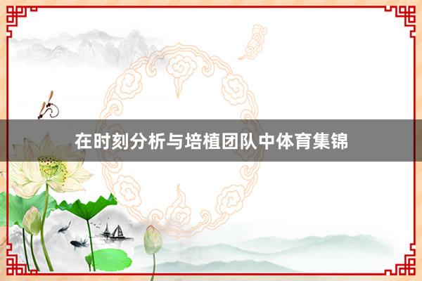 在时刻分析与培植团队中体育集锦