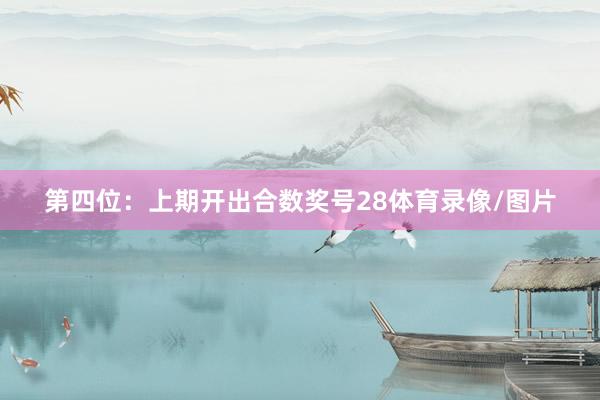 第四位：上期开出合数奖号28体育录像/图片