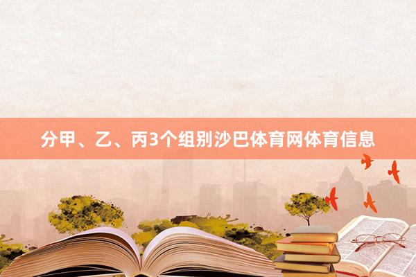 分甲、乙、丙3个组别沙巴体育网体育信息