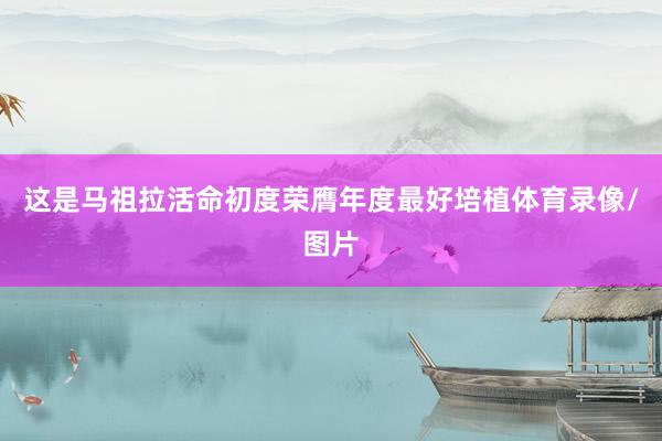 这是马祖拉活命初度荣膺年度最好培植体育录像/图片
