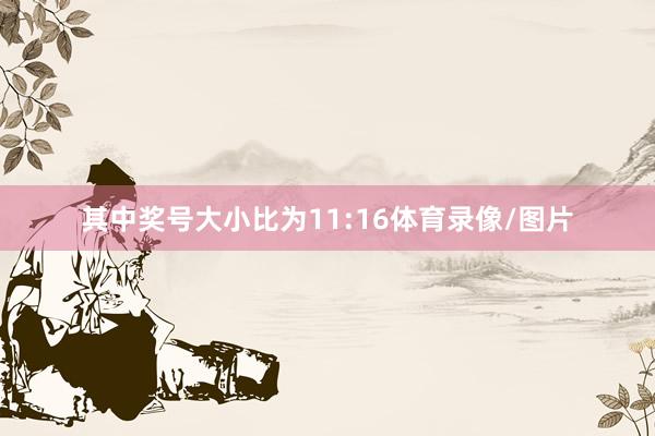 其中奖号大小比为11:16体育录像/图片